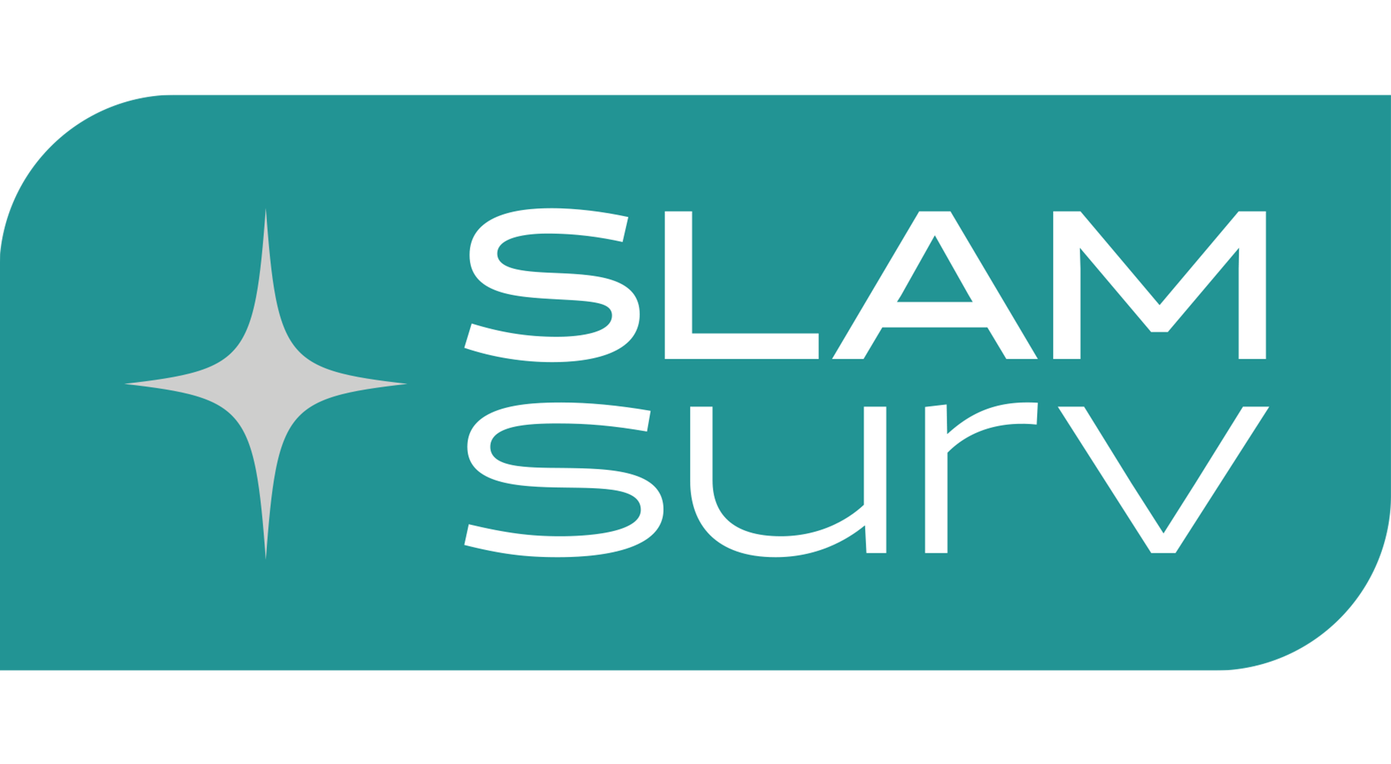 Slamsurv Ltd