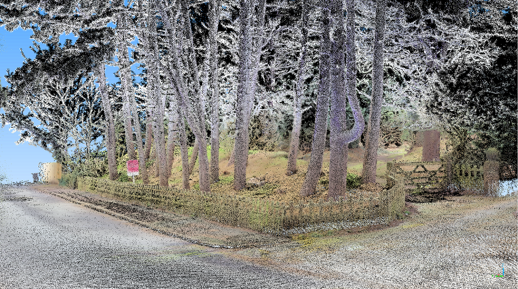 trees.png